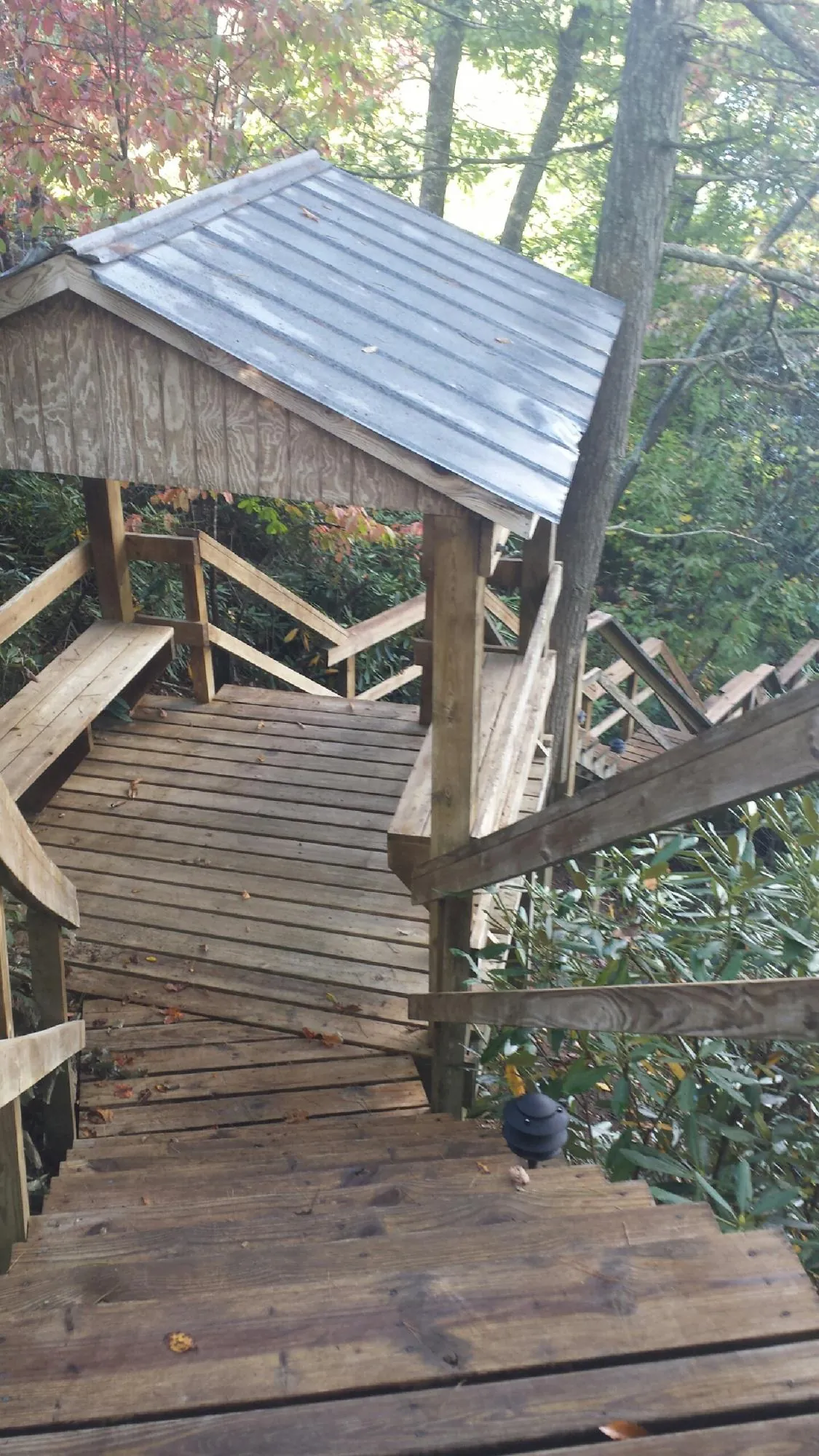 Metal roofed shelter over wooden steps on a wooded walkway — Skylight Repair & Installation work by our crew in Rayville